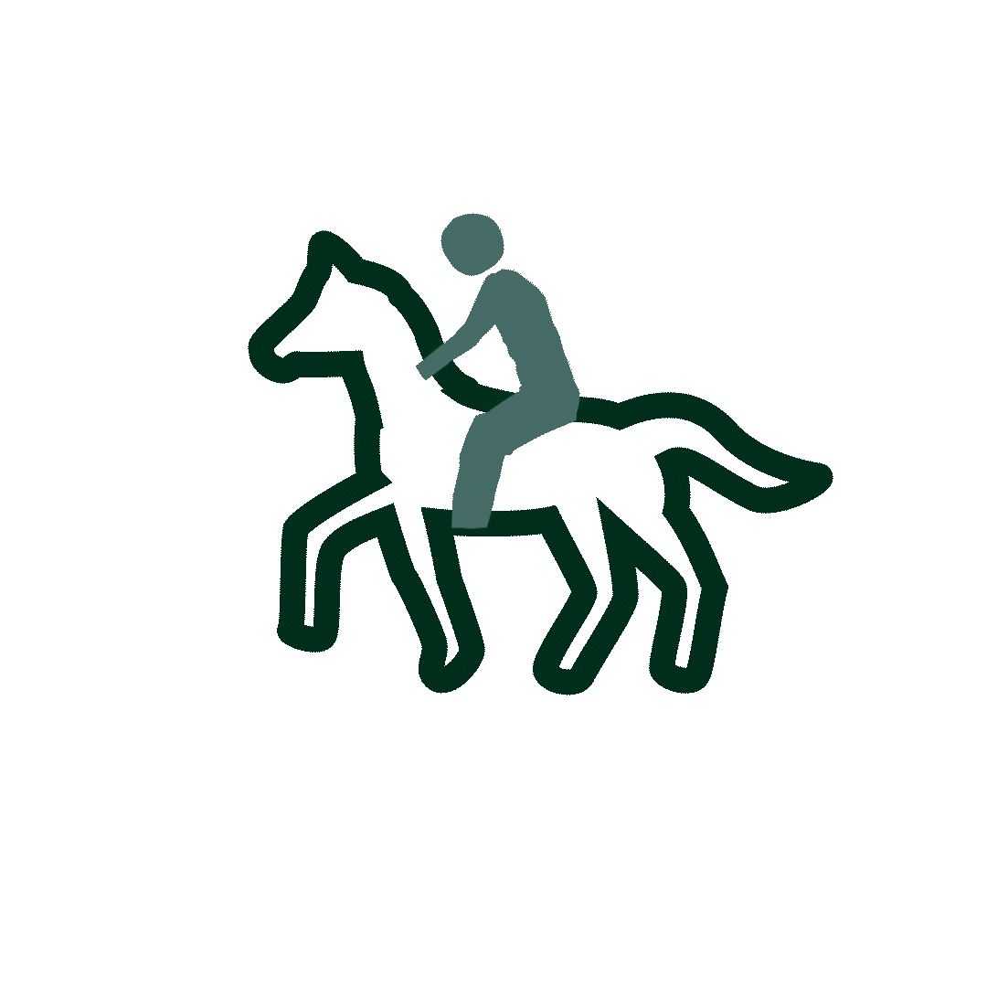 animated horseback icon