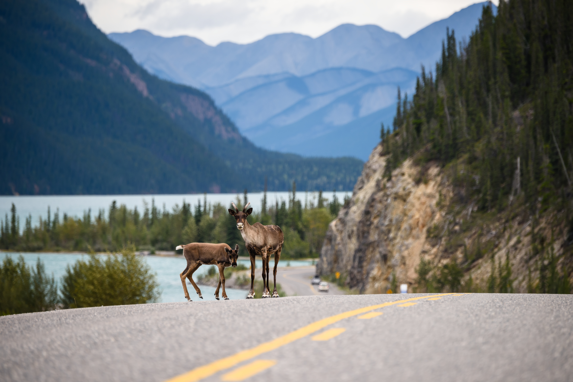 Muncho Lake Provincial Park