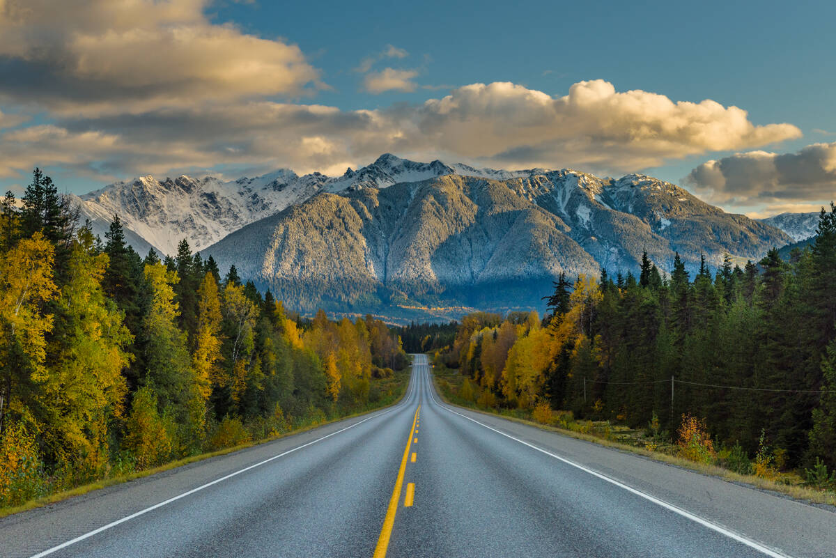 A highway runs toward snowy mountain peaks with dense forest on either side. There are a few clouds in a blue sky.