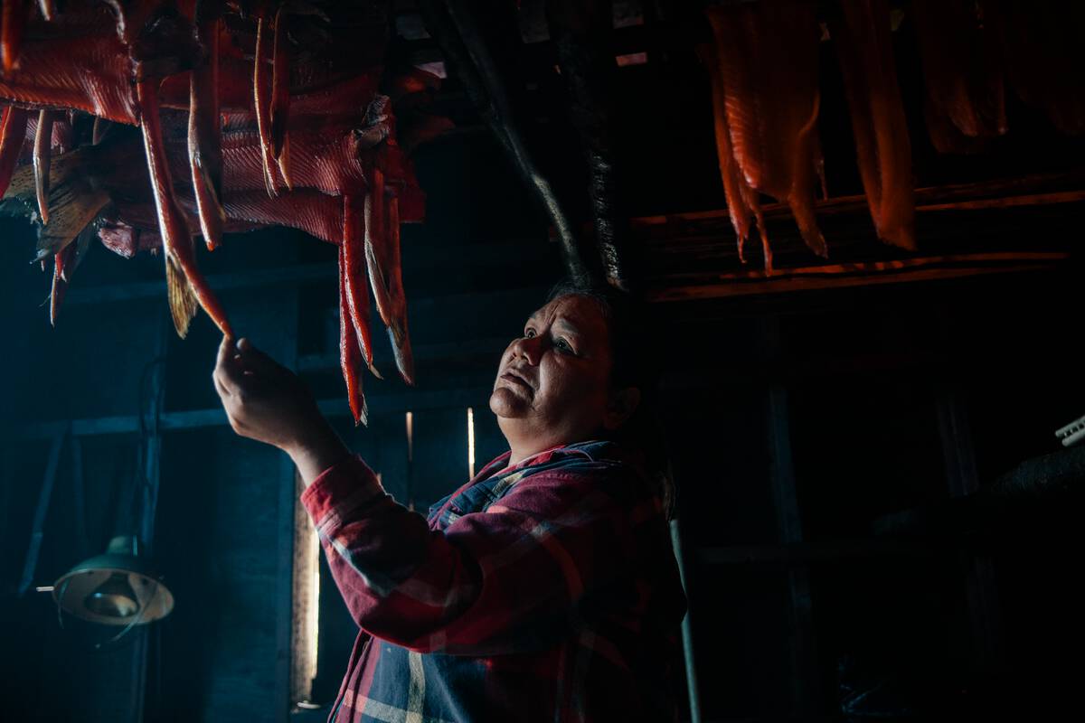 An Indigenous person from the Nisga'a Nationsmoking salmon in a smoke house in the village of Gingolx.